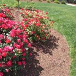 Landscape work