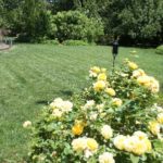 Landscape work