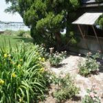 Landscape work