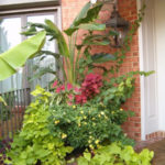 breeden-pot01
