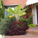 breeden-pot02