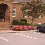 Annual Flowers