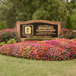 Annual Flowers