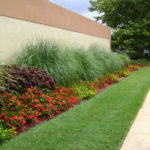 flowerrow