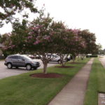 providence square (12)